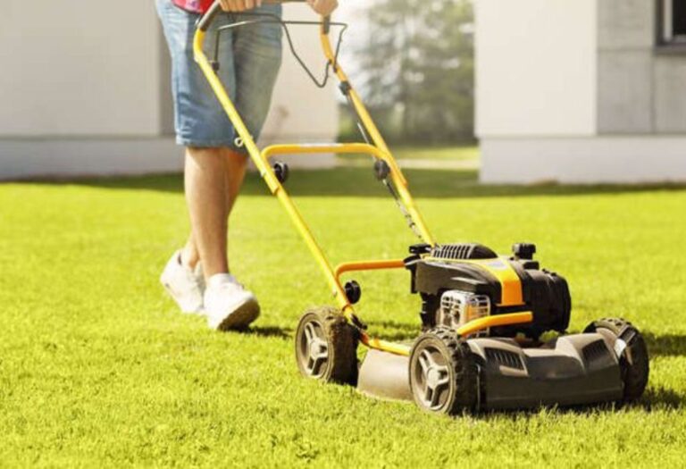 Core Aeration Versus Spike: Lawn Care Made Easy