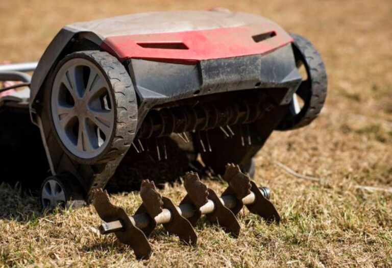When to Aerate Your Lawn for a Healthier Yard