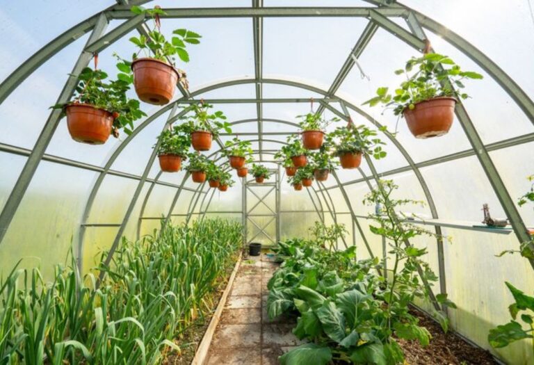 Grow Tent Leaking Air: Solutions for a Healthy Growing Space