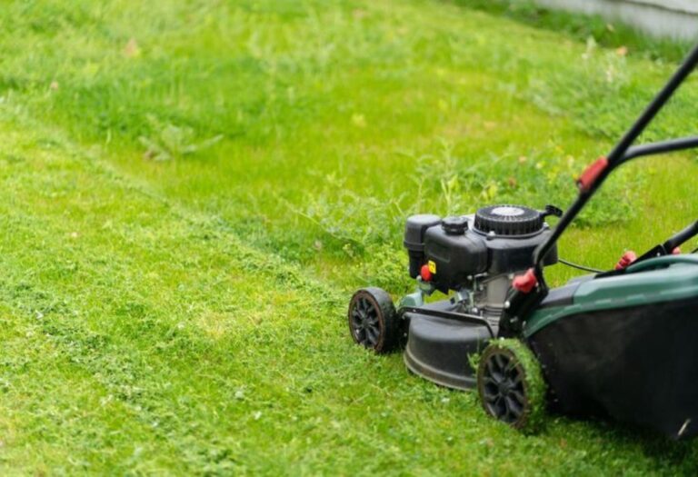 Aerate Lawn Before Seeding: Simple Steps for a Green Yard