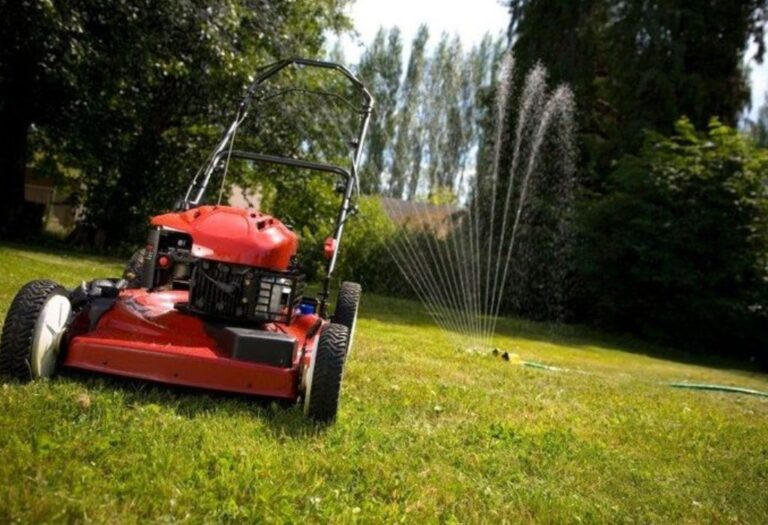 Should I Aerate Before Overseeding: A Simple Guide
