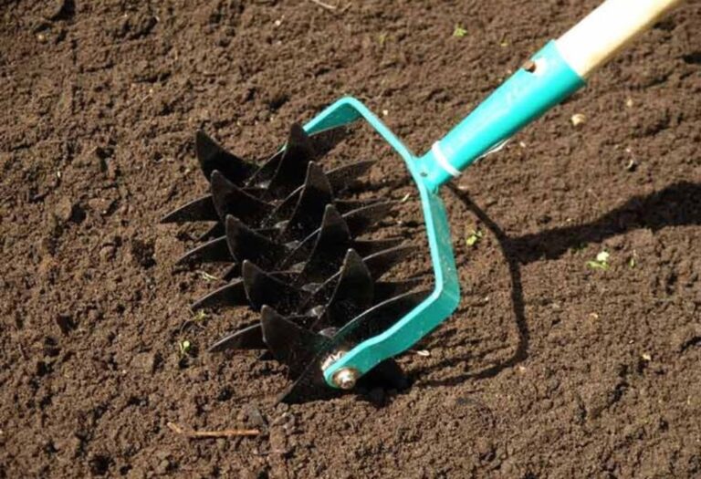 Can You Aerate Dry Soil? A Simple Guide for Gardeners