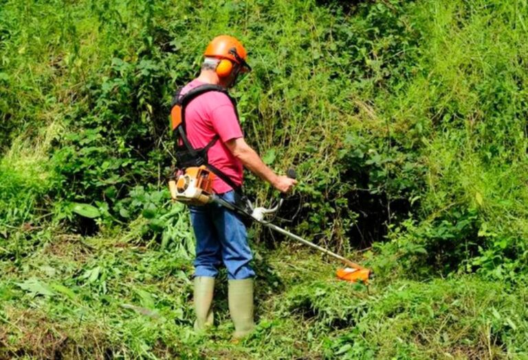 String Trimmer Blade or Line? Choosing the Right Tool