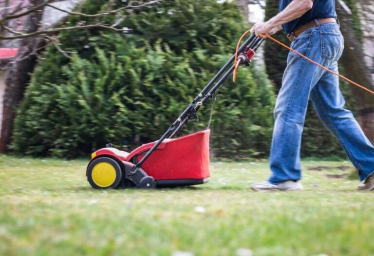 How to Aerate Lawn Step by Step for a Greener Yard