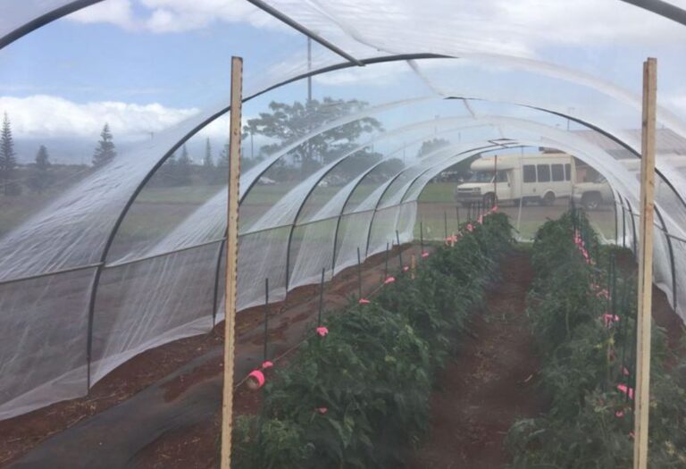 Do You Need Ventilation in Grow Tent? A Beginner's Guide