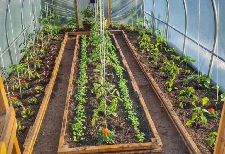 Grow Tent Electrical Safety: A Beginner's Guide to Safe Setup