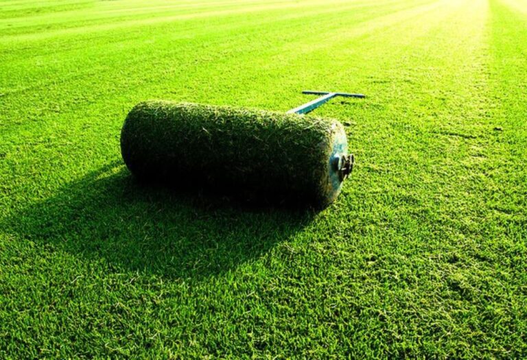 Why Lawn Rollers Sometimes Fail to Flatten Soil