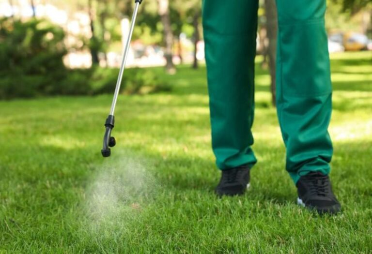 Does Liquid Aeration Replace Core Aeration? A Lawn Guide