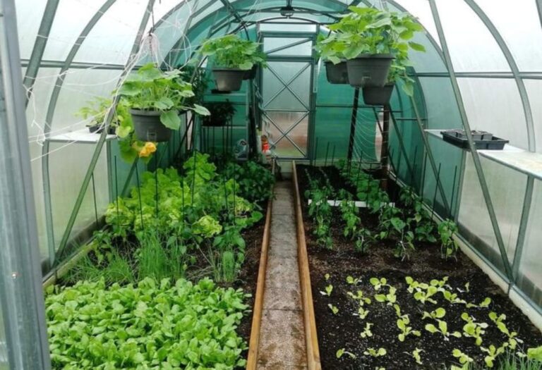 How to Insulate a Grow Tent: Simple Steps for Better Growing