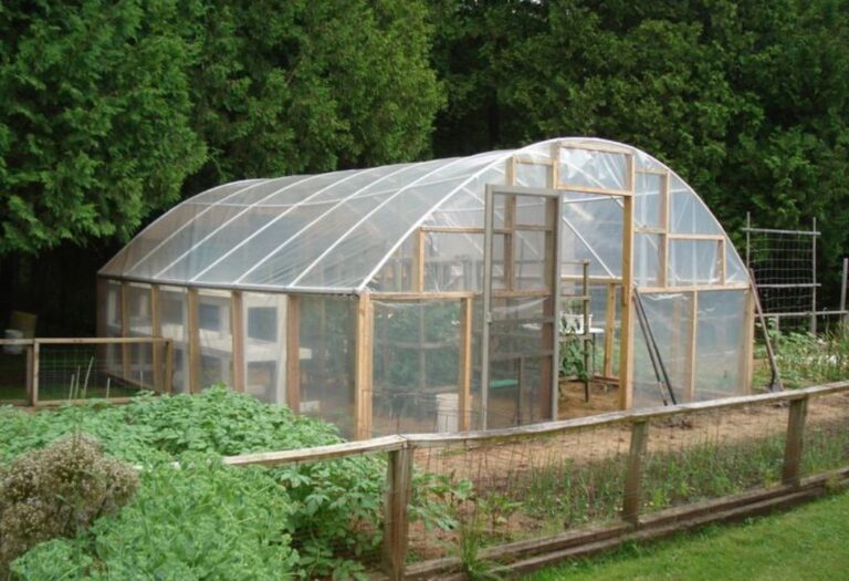 Grow Tent CO2 Problems Explained for Growers