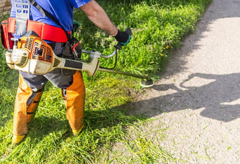 Your Complete Guide How To Clean A String Trimmer