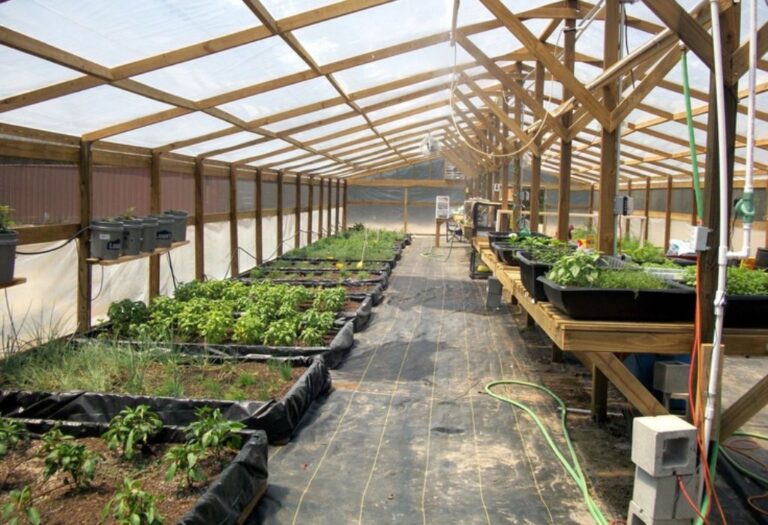 Grow Tent Air Intake Size: Getting Fresh Air Right