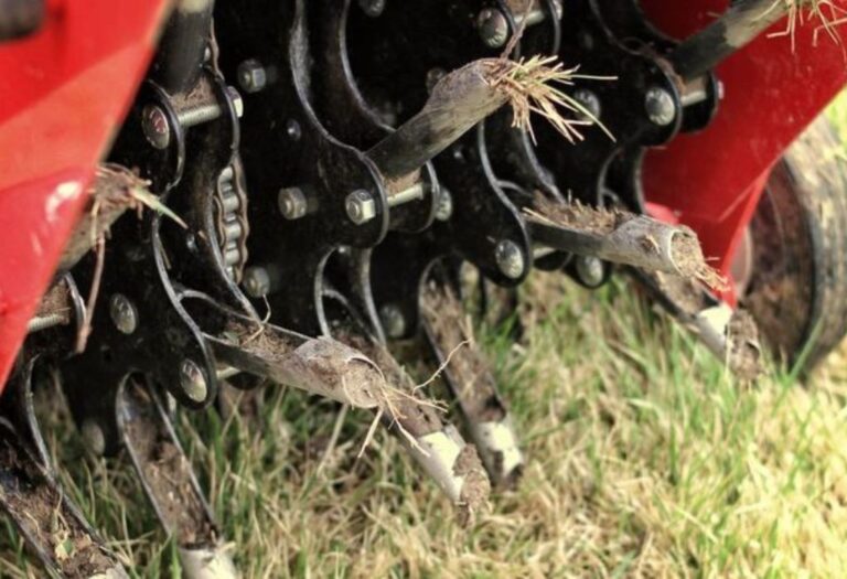 Can Aeration Harm Roots? Understanding Soil and Plants