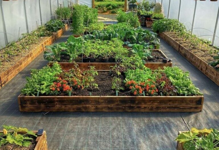 Grow Tent Smell Leaking: Solutions for Odor Control