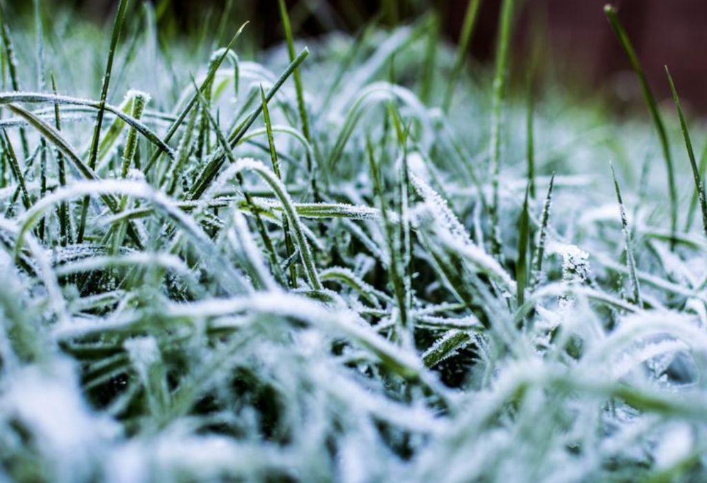 Can You Aerate Frozen Ground: A Simple Guide for You
