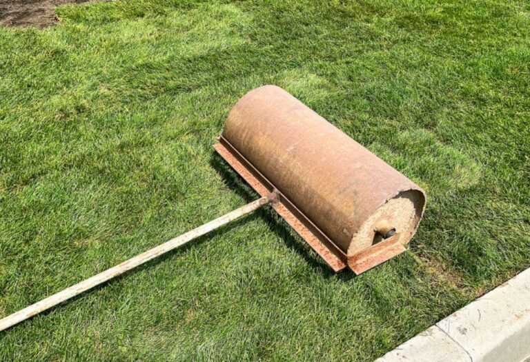 Can Lawn Roller Fix Bumps? A Simple Guide for Your Yard