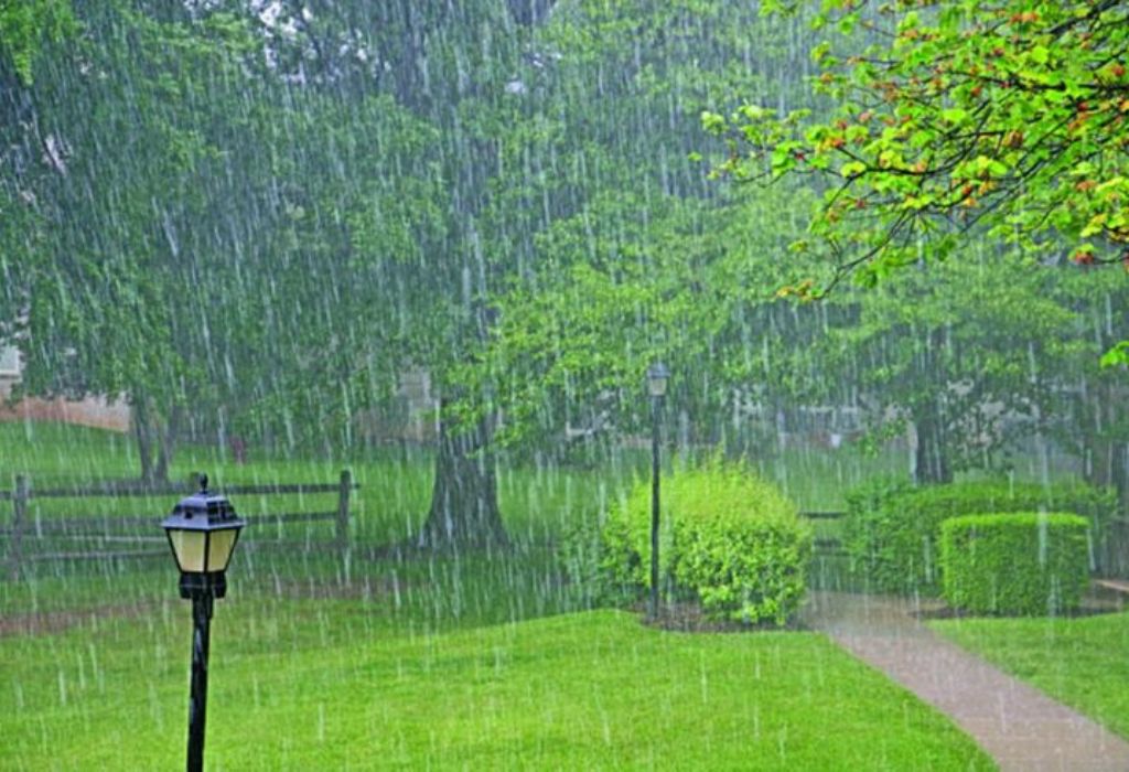 Aeration in Rainy Season: A Simple Guide for Success