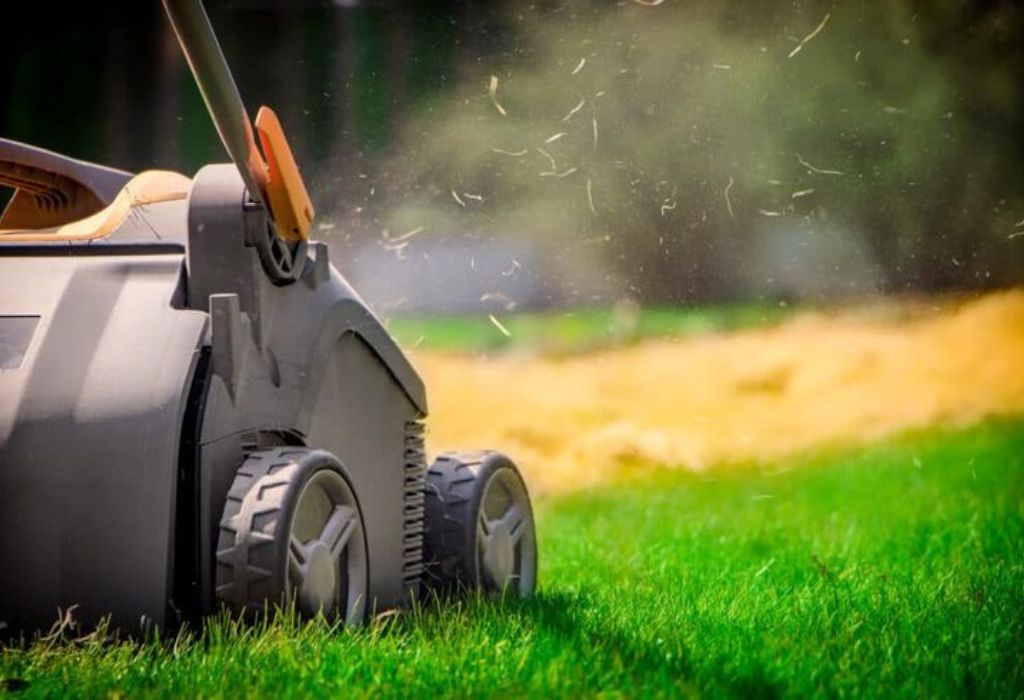 Lawn Aeration Weather Conditions: Timing Tips for a Greener Yard
