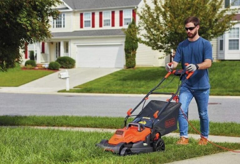 Scarify vs Aerate: Choosing the Right Lawn Care Method