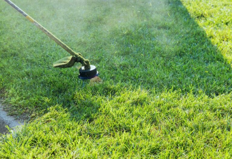 How to Edge Yard With a String Trimmer Step by Step