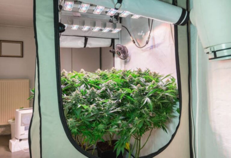 Why Grow Tent Fan Noisy? Solutions for a Quieter Setup