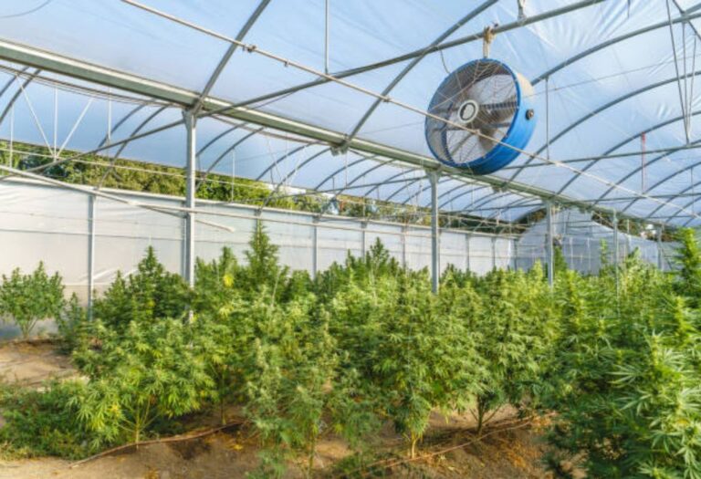 Reducing Grow Tent Fan Sound: A Simple Guide to Quieter Airflow