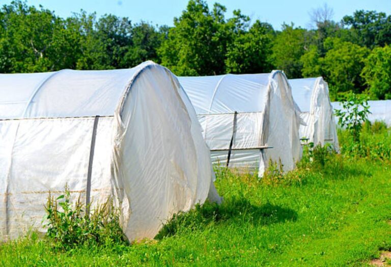 Do Grow Tents Reduce Noise? A Beginner's Guide