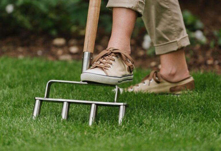 Rust on Aerator Tines: Prevention and Care Guide