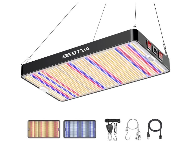 BESTVA DC3000 300W LED Grow Light