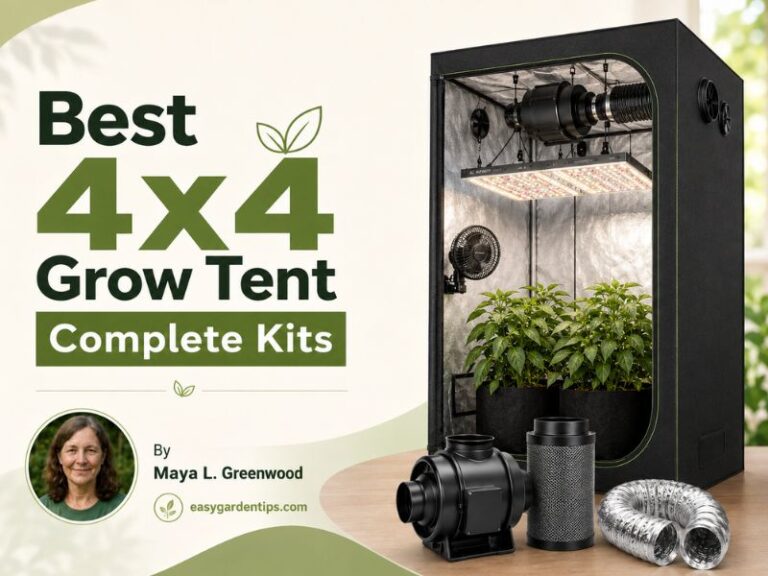 Best 4x4 Grow Tent Complete Kit Options for Beginner Growers