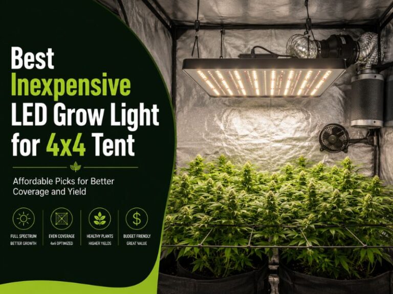 Best Grow Lights for a 4x4 Tent:  Inexpensive Led Grow Light