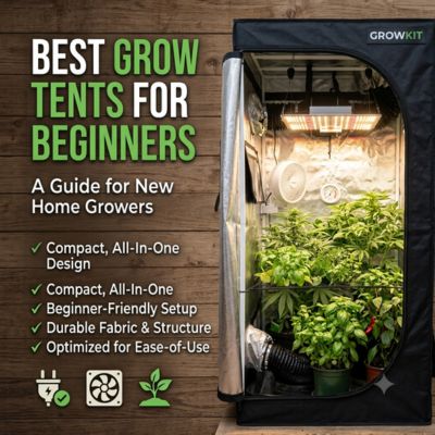 Best Grow Tents for Beginners: Affordable Indoor Options