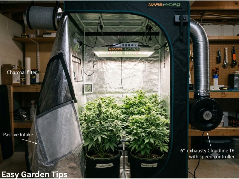 Do You Need an Intake Fan in a Grow Tent? Here's When You Do