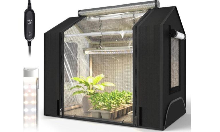 Grow Tent Basics: A Complete Beginner's Guide to Indoor Gardening