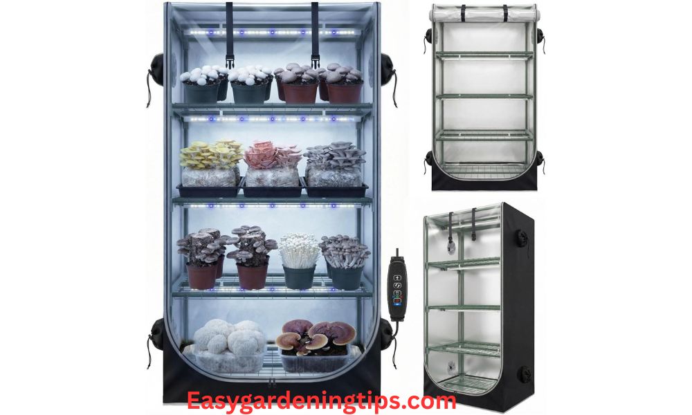 Why Use a Grow Tent? Is It Worth It?