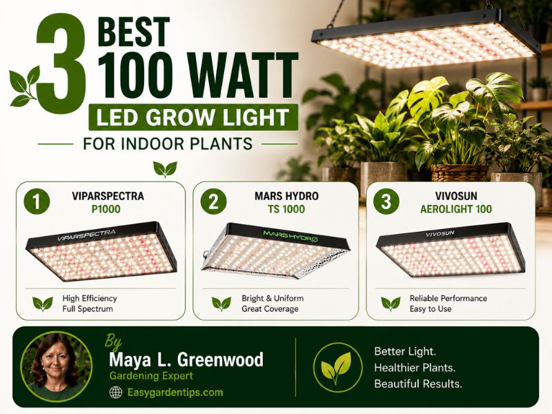 3 Best 100 Watt LED Grow Light for Indoor Plants