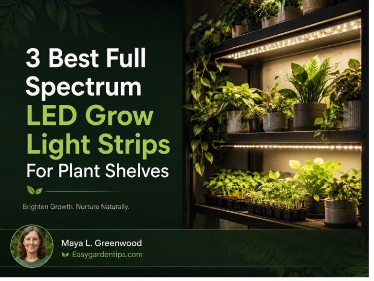 3 Best Full Spectrum LED Grow Light Strips for Plant Shelves