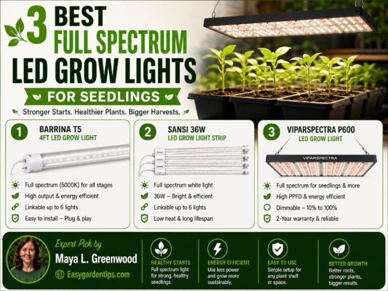 3 Best Full Spectrum LED Grow Lights for Seedlings