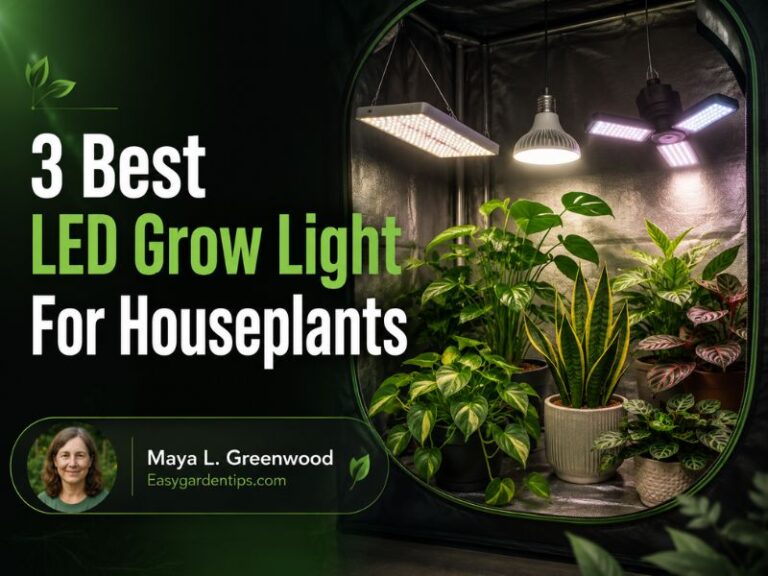 3 Best LED Grow Light for Houseplants: Practical Indoor Picks