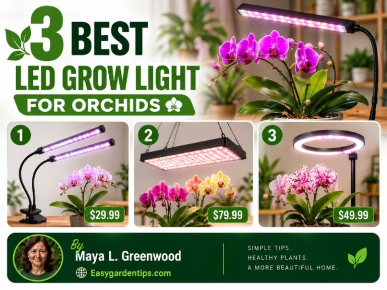 3 Best LED Grow Light for Orchids: Better Growth and Reblooming Indoors