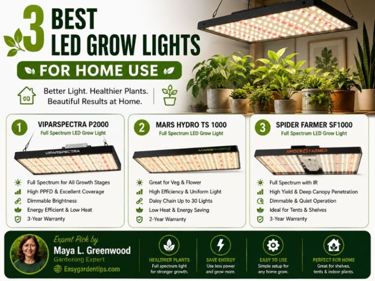 3 Best LED Grow Lights for Home Use: Practical Indoor Options