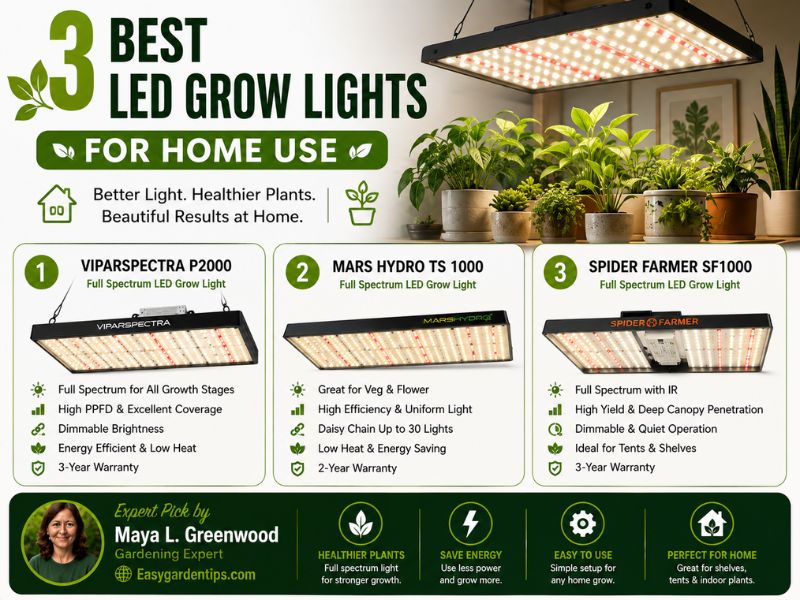 3 Best LED Grow Lights for Home Use: Practical Indoor Options