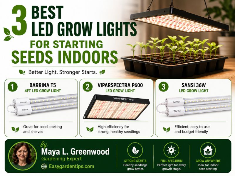 3 Best LED Grow Lights for Starting Seeds Indoors