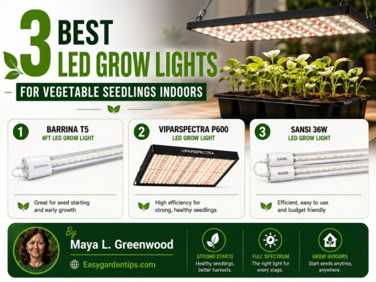 3 Best LED Grow Lights for Vegetable Seedlings Indoors