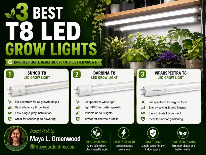 3 Best T8 LED Grow Lights: High-Output Shelf Options