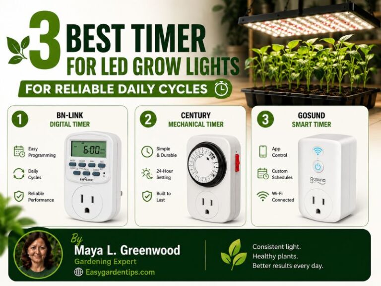 3 Best Timer for LED Grow Lights for Reliable Daily Cycles