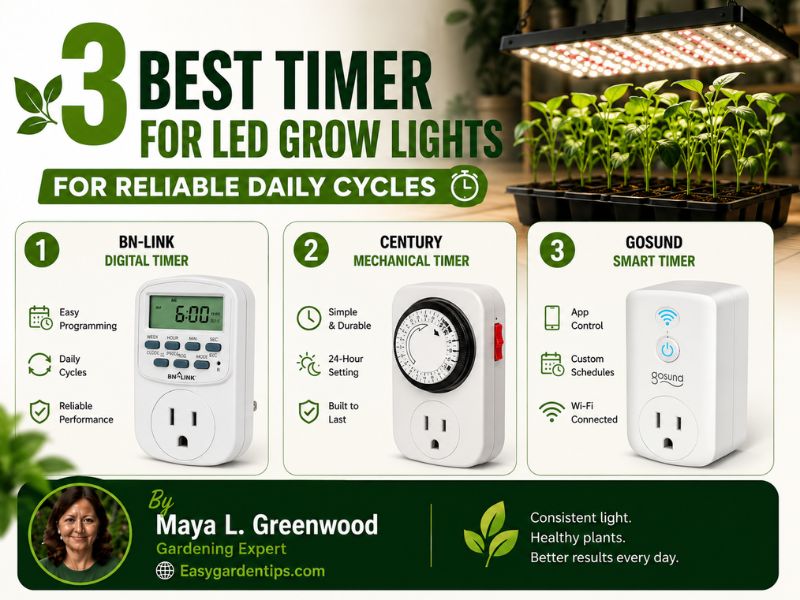 3 Best Timer for LED Grow Lights for Reliable Daily Cycles
