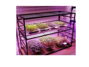 Barrina T5 4FT Grow Lights 8-Pack