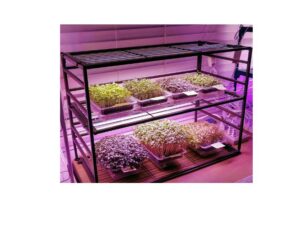Barrina T5 4FT Grow Lights 8-Pack (5)