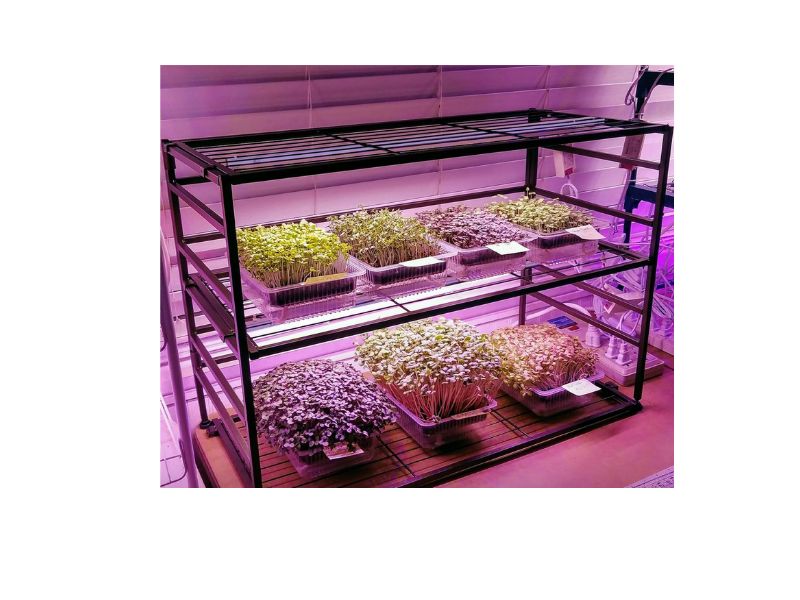 Barrina T5 4FT Grow Lights 8-Pack
